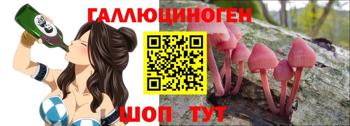 Прохладный  Псилоцибиновые грибы мицелий  цена наркотик  Вход с VPN 